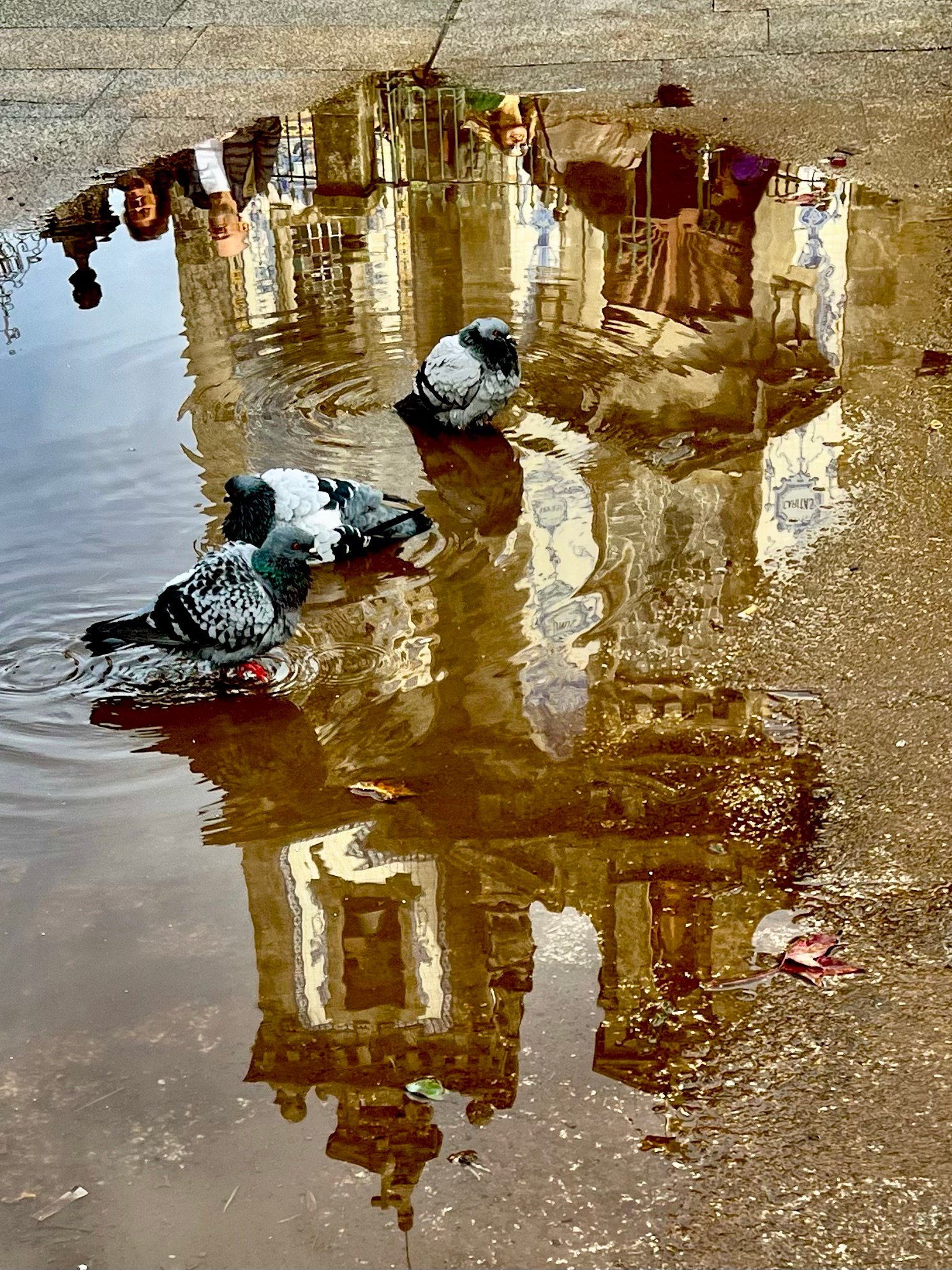 Finding Beauty in Unexpected Places – Wandering Teresa